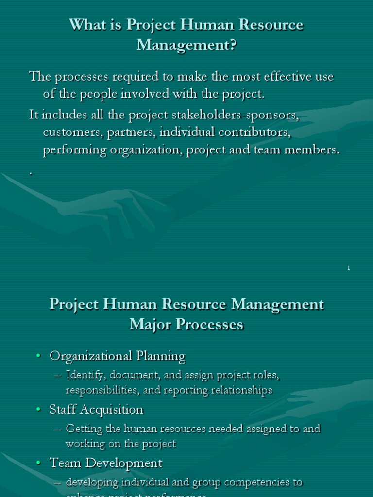 Project Human Resource Management PDF Team Building Motivation