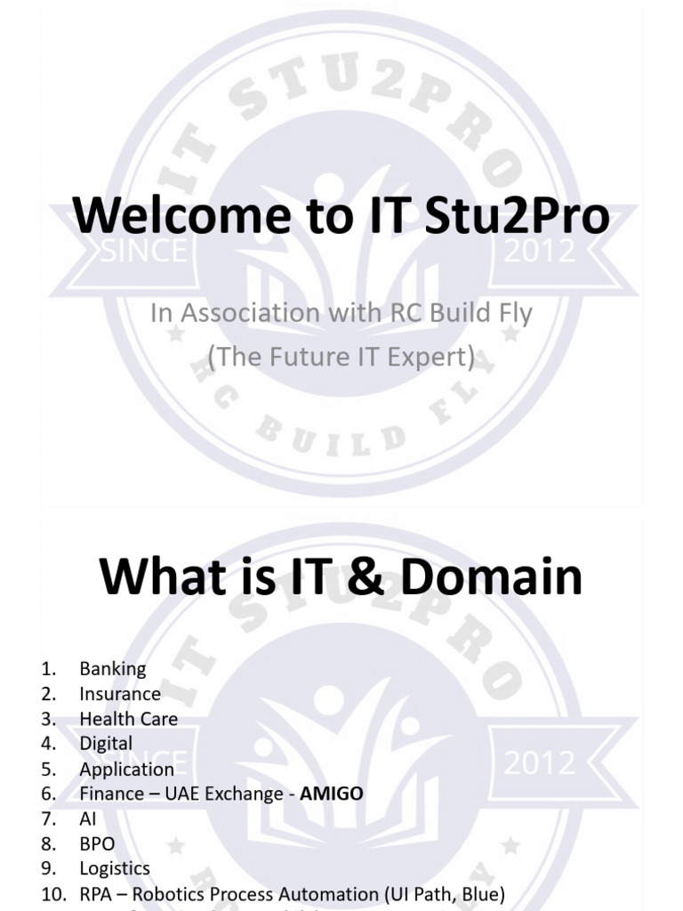 IT Business Analyst Guide: Roles & Processes | PDF | Scrum (Software ...
