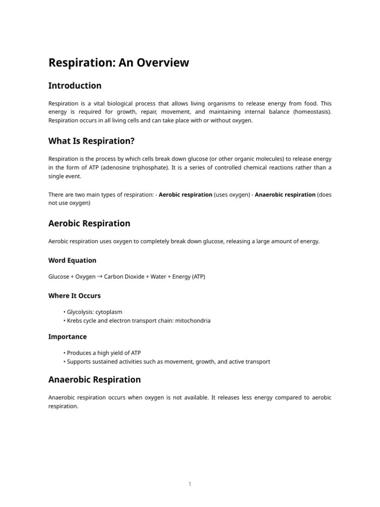 Understanding Aerobic and Anaerobic Respiration | PDF | Cellular ...