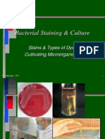 Module 3a - Culture and Staining