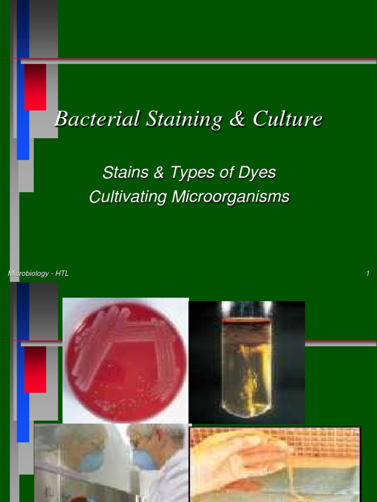 Module 3a - Culture and Staining | PDF | Growth Medium | Microbiology