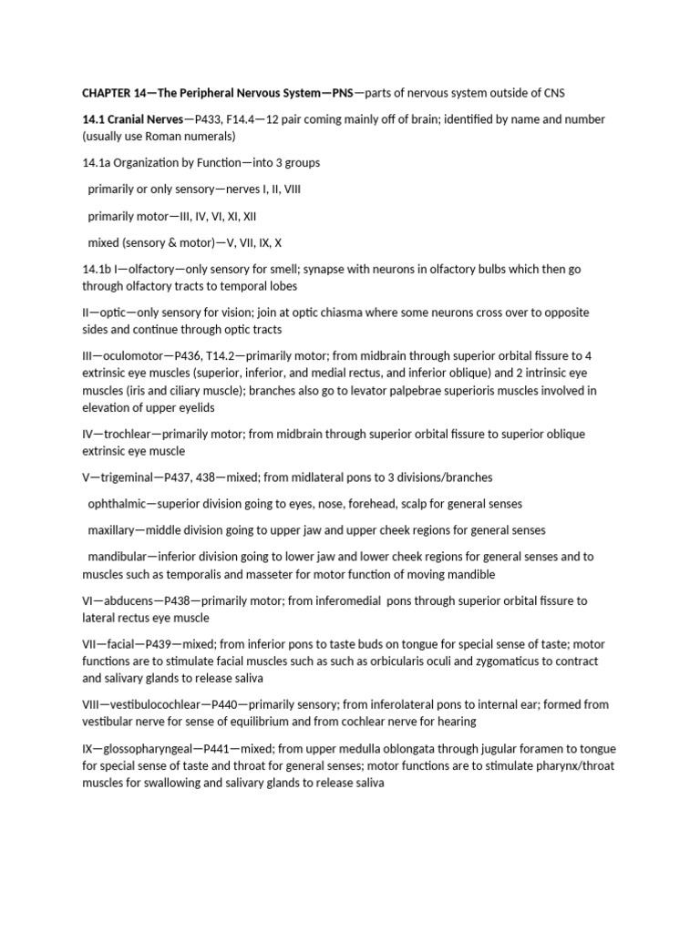 CHAPTER+14 | PDF | Primate Anatomy | Human Anatomy