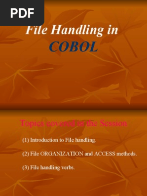 Cobol File Handling