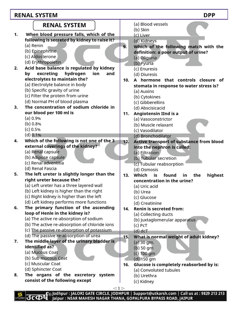 Understanding the Renal System Functions | PDF | Kidney | Urinary System
