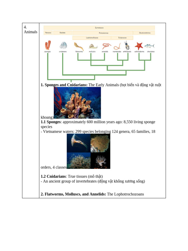 6.3 Animals | PDF