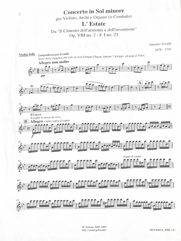 Concerto in Sol Minore | PDF