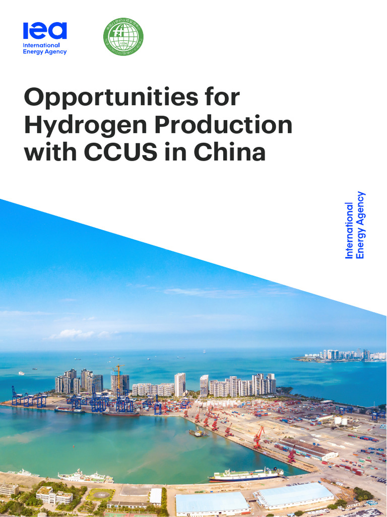 Hydrogen Production and CCUS in China | PDF | Carbon Capture And ...