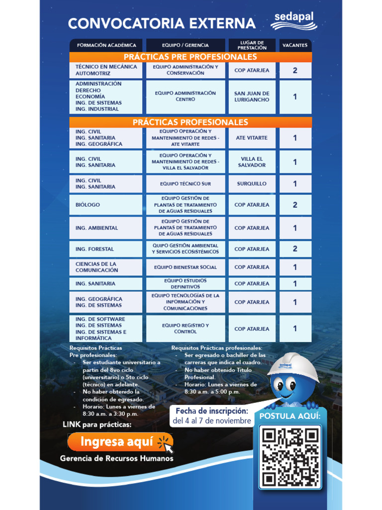 Convocatoria de Prácticas Profesionales | PDF