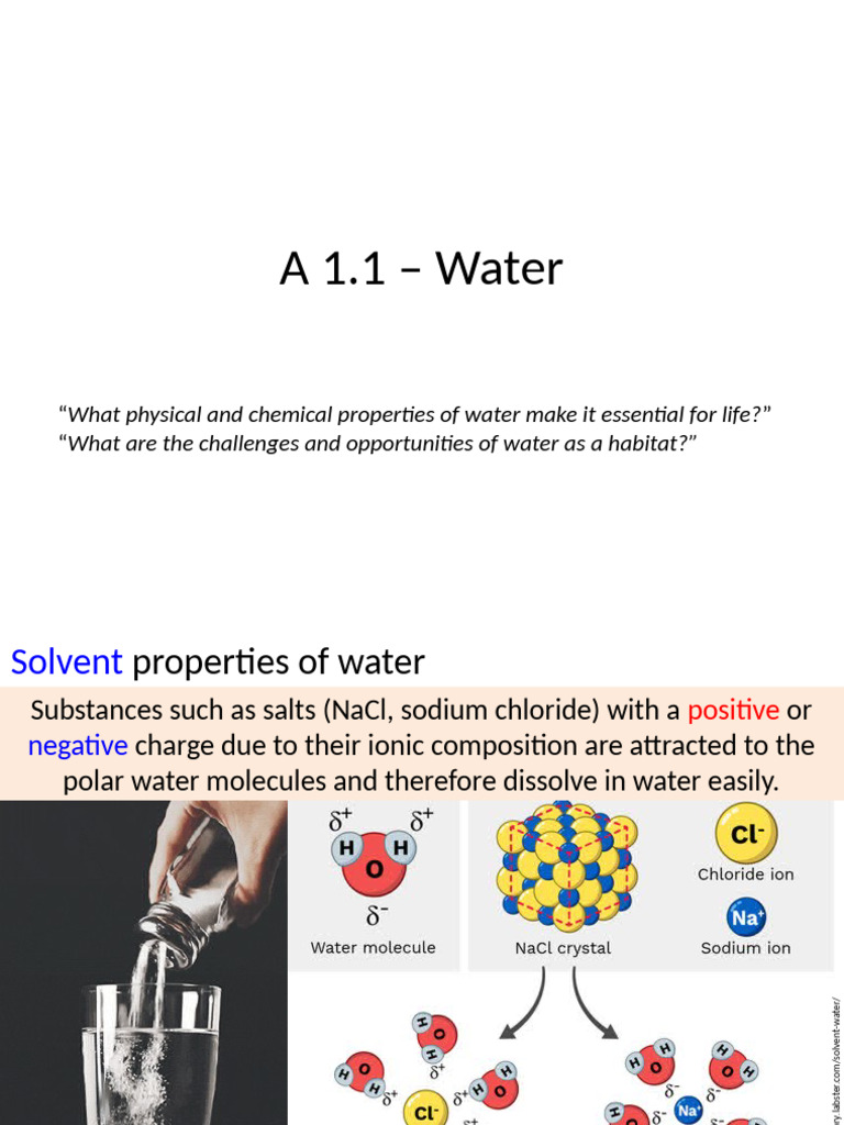 Essential Solvent Properties of Water | PDF | Lipid | Heat
