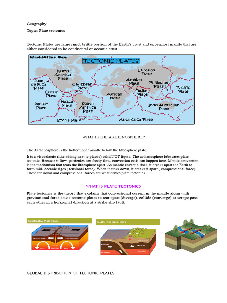 Understanding Plate Tectonics Basics | PDF | Plate Tectonics | Tectonics