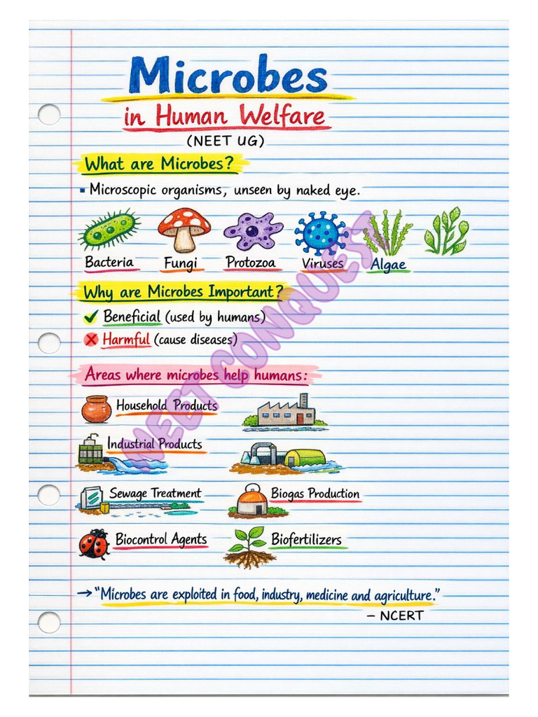 Microbes in Human Welfare Handwritten Notes ??? | PDF