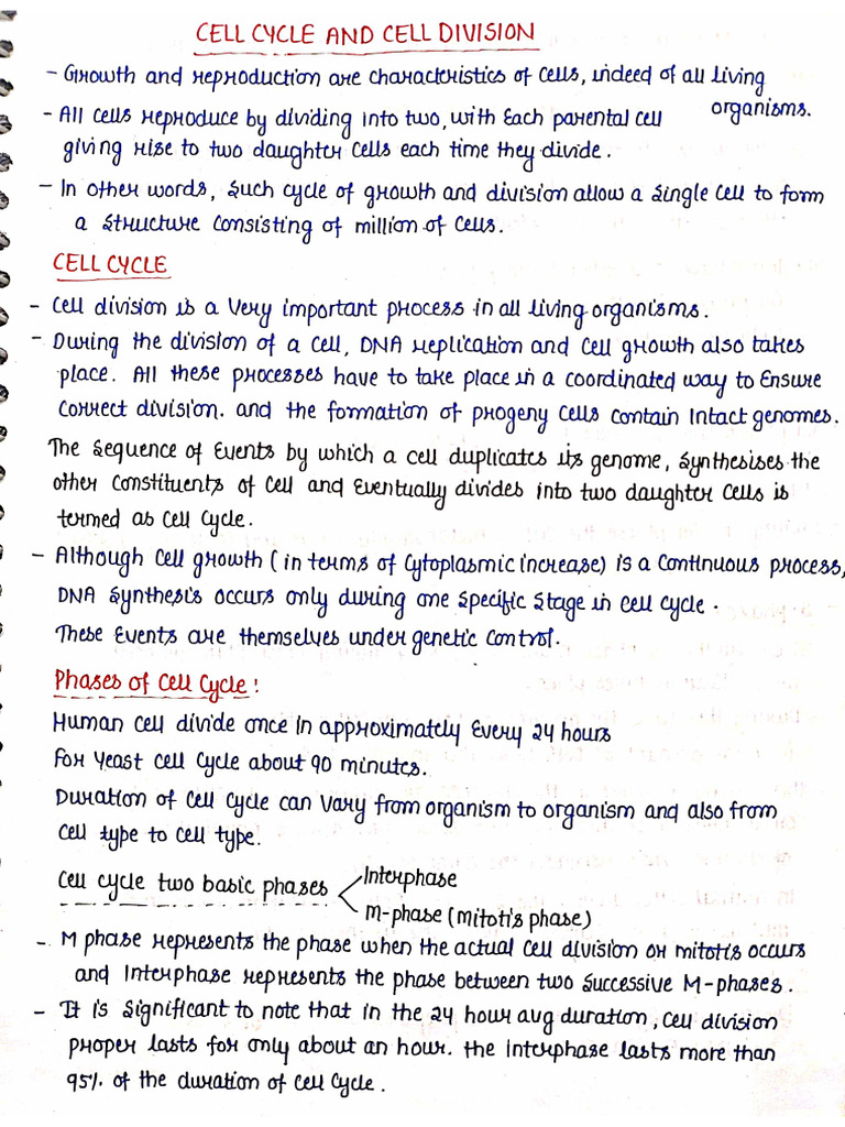 Cell Cycle Cell Division | PDF