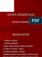 Sistem Urogenitalia