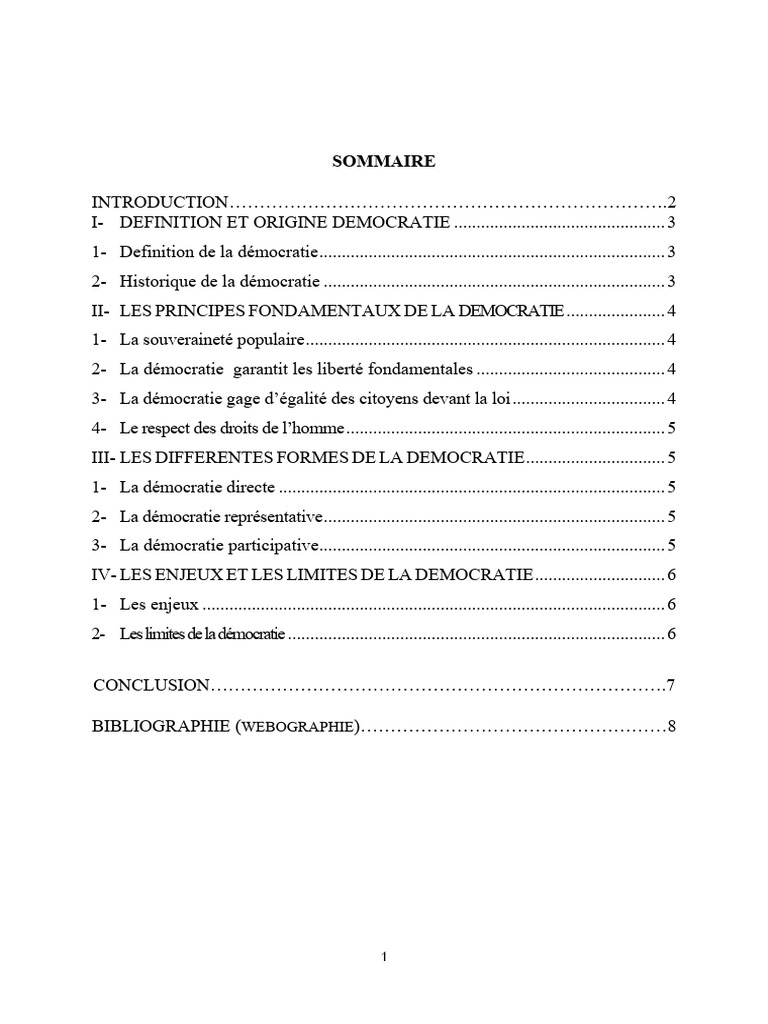 Comprendre la démocratie : principes et enjeux | PDF | Démocratie ...