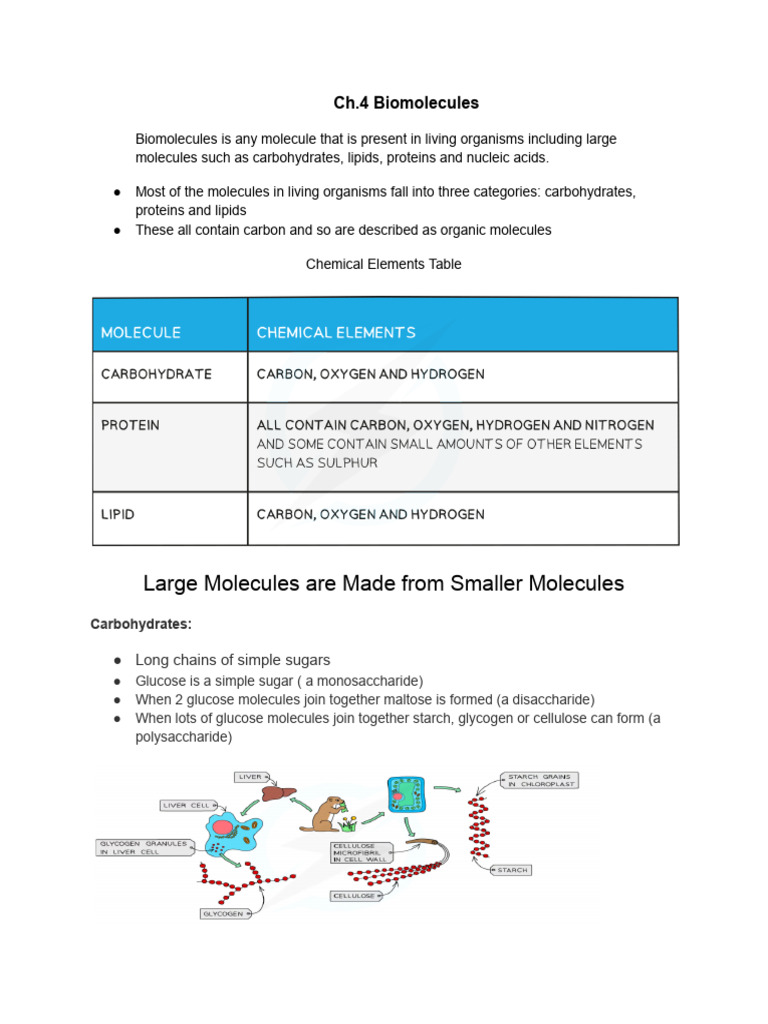 Overview of Biomolecules and Tests | PDF | Carbohydrates | Dna
