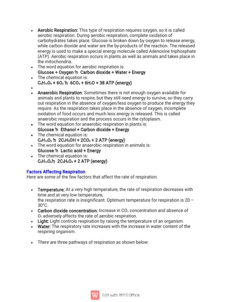 Aerobic vs. Anaerobic Respiration Explained | PDF | Cellular ...