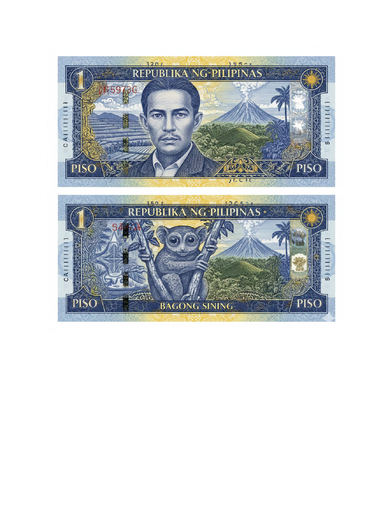 Paper Bill | PDF