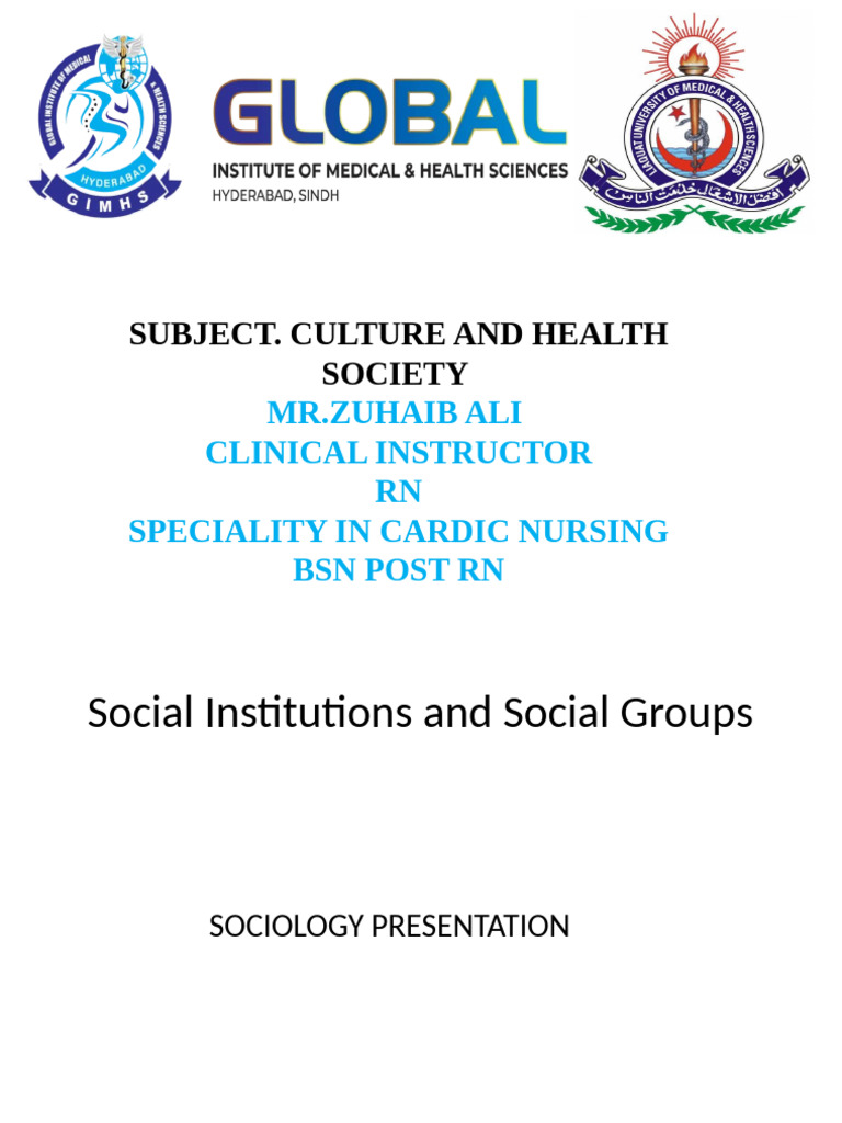 Social Institutions and Groups Overview | PDF