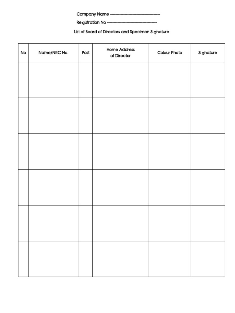 4.director List Form (Amend) | PDF