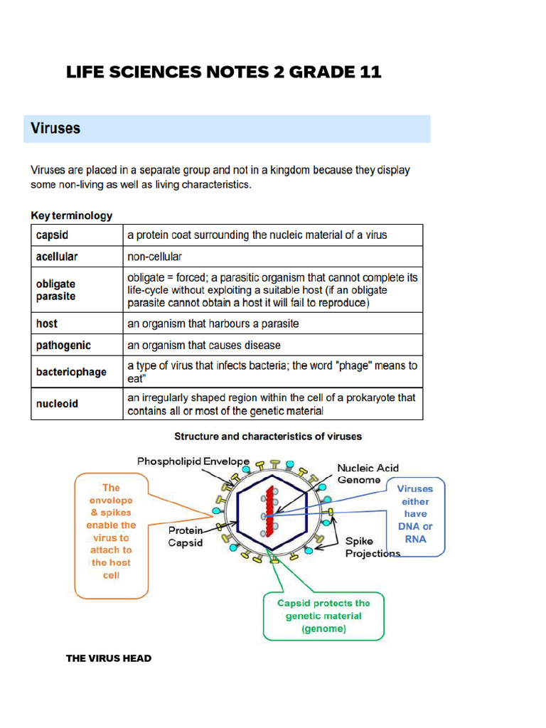 Life Sciences Notes 2 Grade 11 | PDF