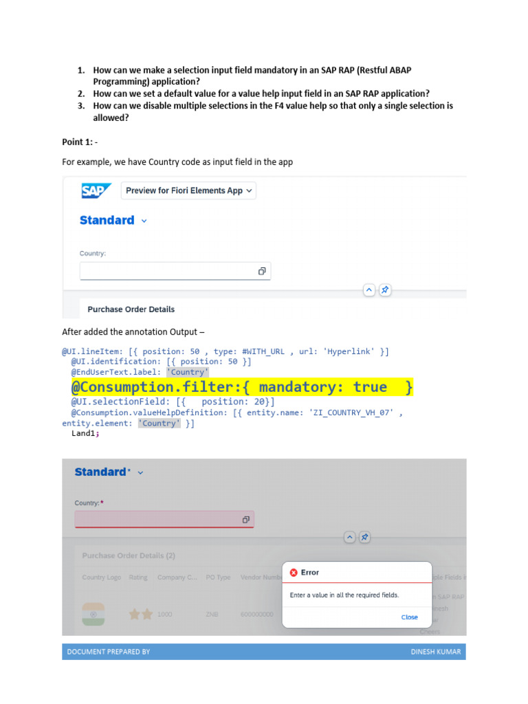 SAP RAP Input Field Customization Guide | PDF