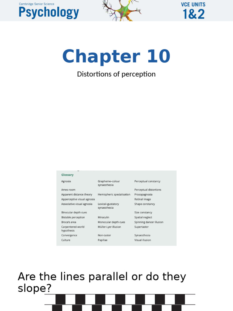 Understanding Visual Perception Distortions | PDF | Illusion | Perception