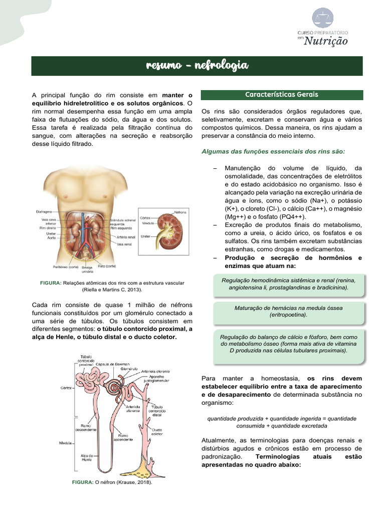 Funções e Doenças dos Rins: Nefrologia | PDF | Rim | Especialidades médicas