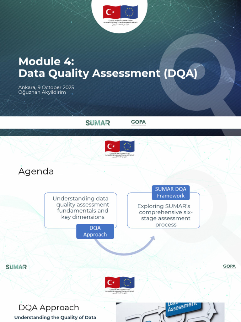 Data Quality Assessment Framework Guide | PDF | Data Quality ...