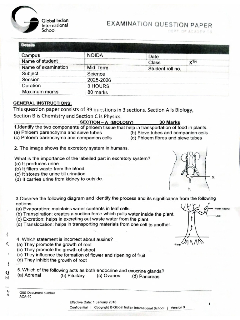Science Paper | PDF