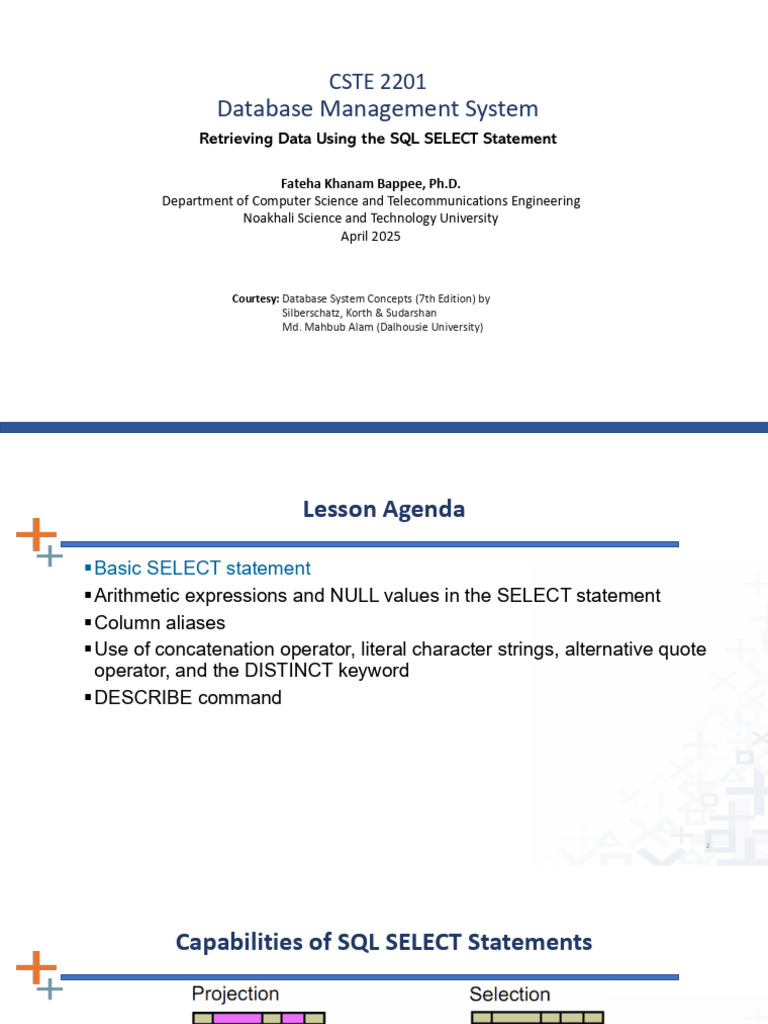 SQL SELECT Statement Basics Guide | PDF | Software Engineering | Data ...