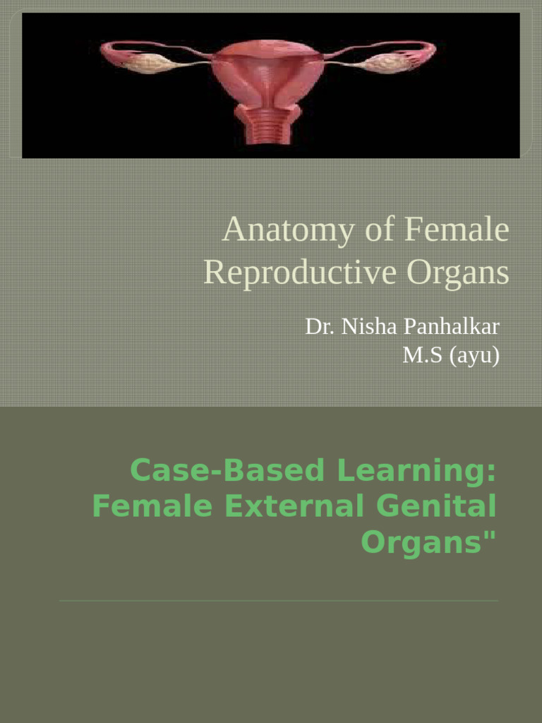 Anatomy of Female External Genitalia | PDF | Labia | Uterus