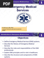 EMS Roleplay Guidelines for FiveM | PDF