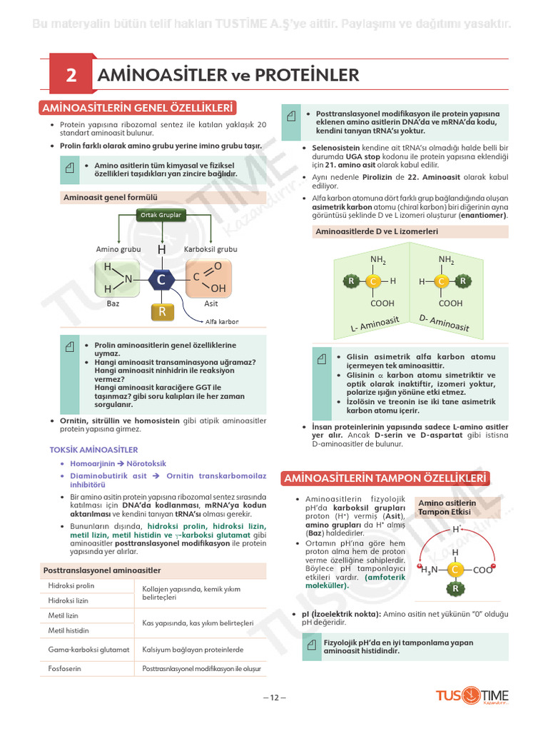 2 AMİNOASİTLER Ve PROTEİNLER | PDF