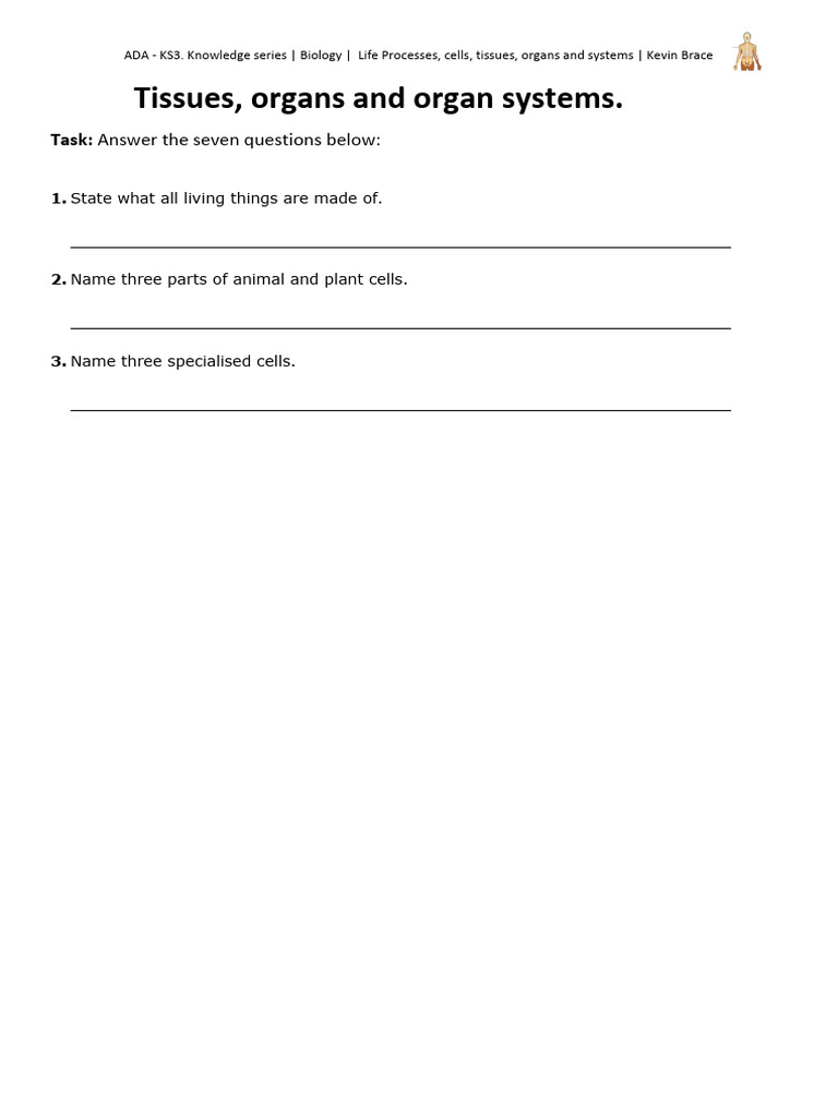 KS3 Biology Cells Organs Life Processes | PDF | Respiratory System | Lung