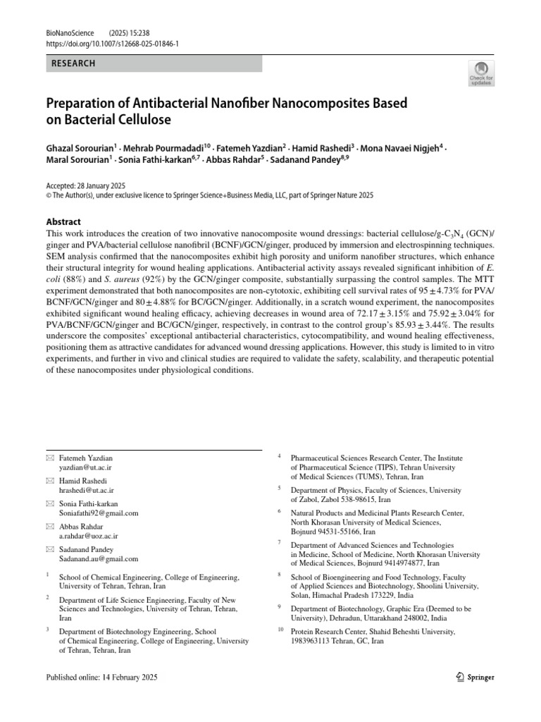 Preparation of Antibacterial Nanofiber Nanocomposites Based On ...