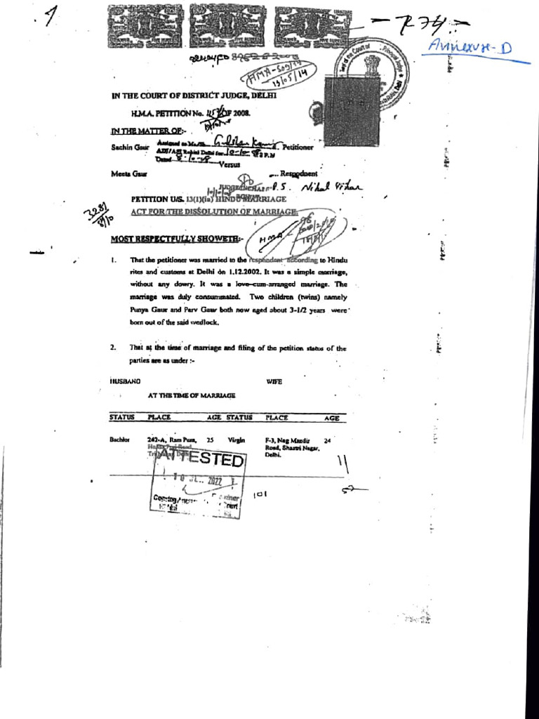 Divorce Petition and Maintenance Case Summary | PDF