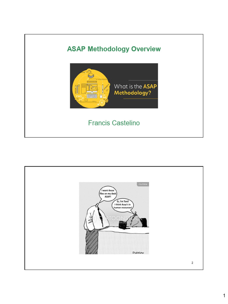 ASAP Methodology Project Overview | PDF | Information Technology ...