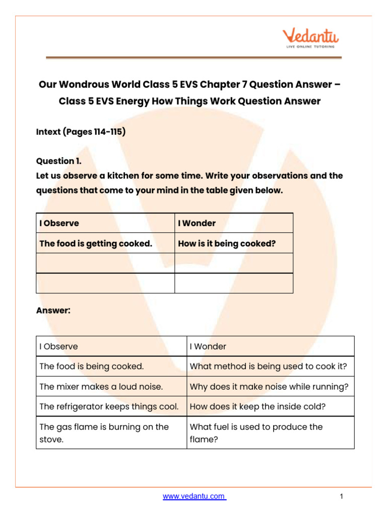 Class 5 EVS Energy Observations Guide | PDF | Energy Development ...