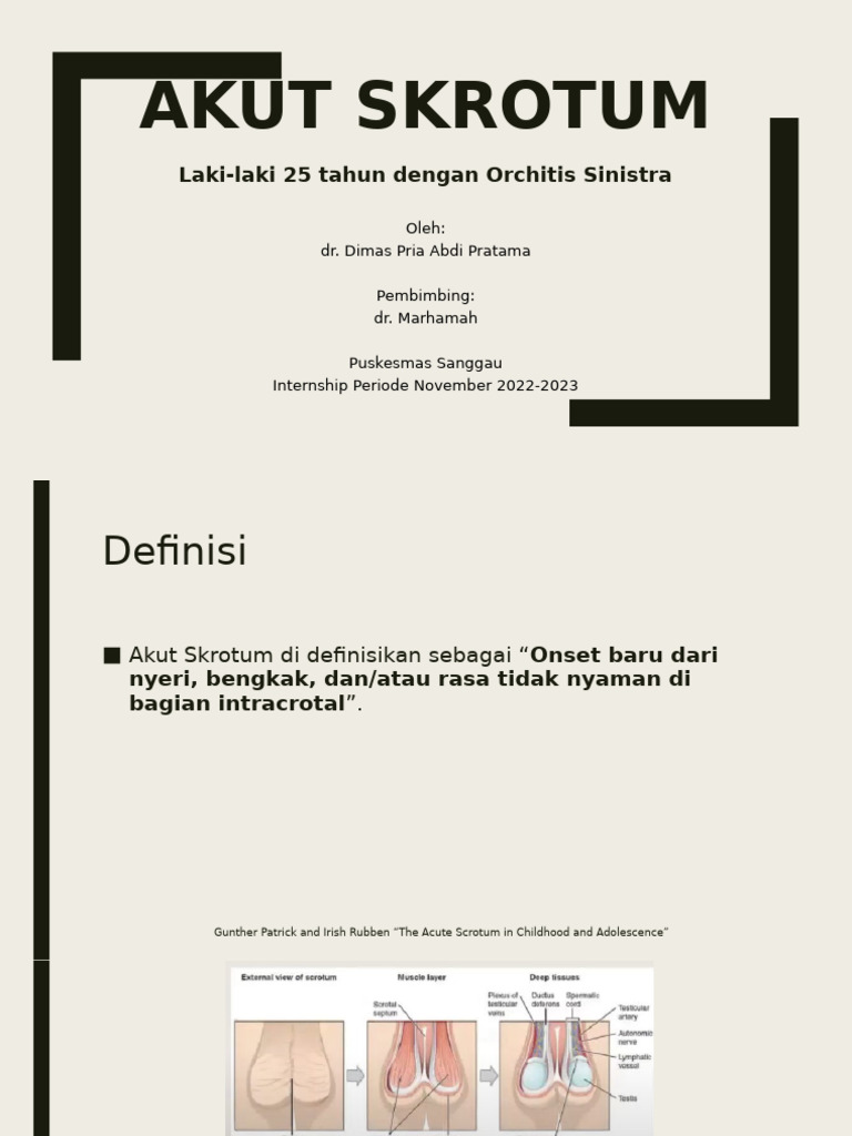Penanganan Akut Skrotum pada Orchitis | PDF