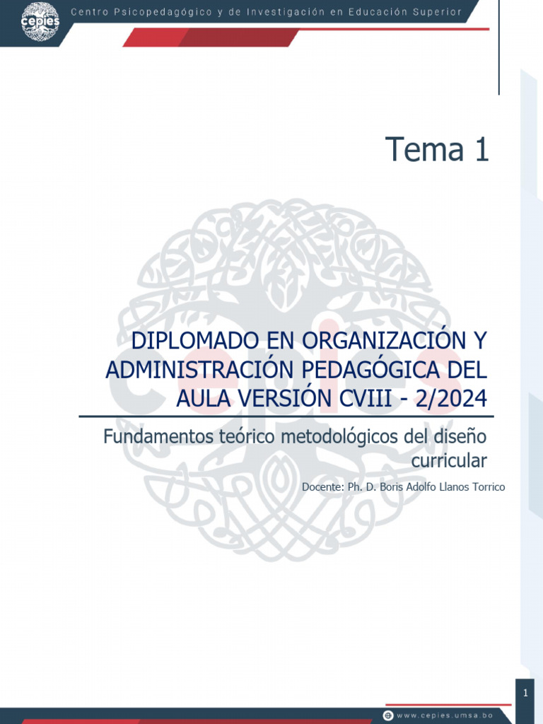 Fundamentos del Diseño Curricular 2024 | PDF | Plan de estudios | Enseñando