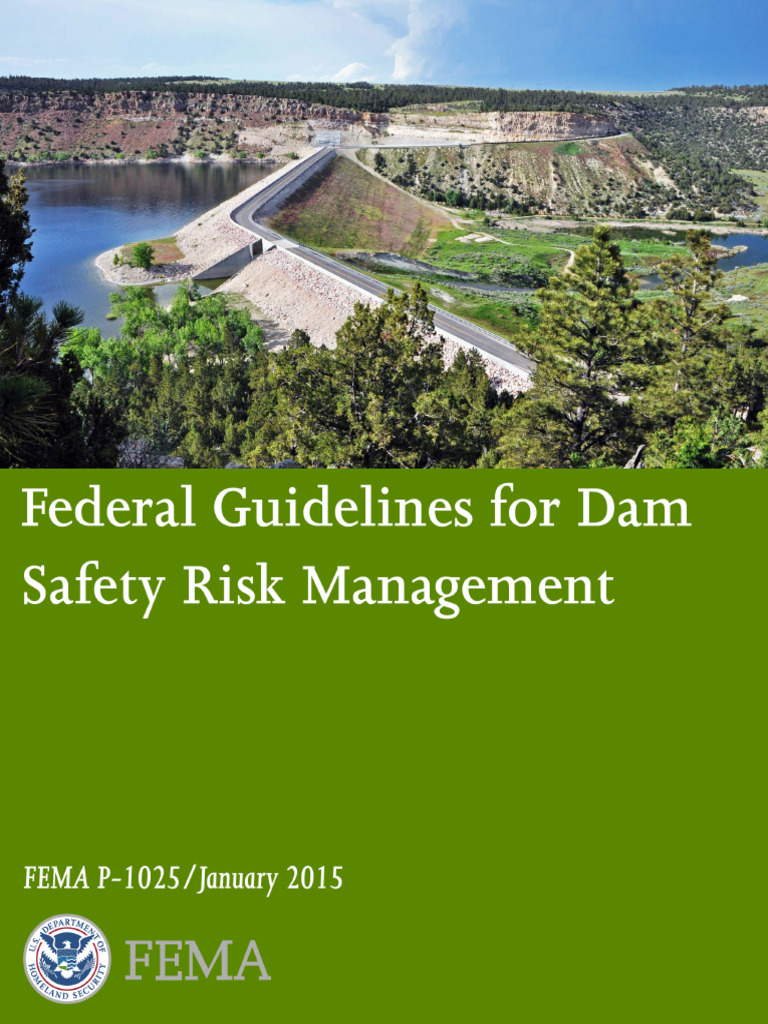 FEMA Federal Guidelines RiskMgmt P1025 | PDF | Risk | Risk Management