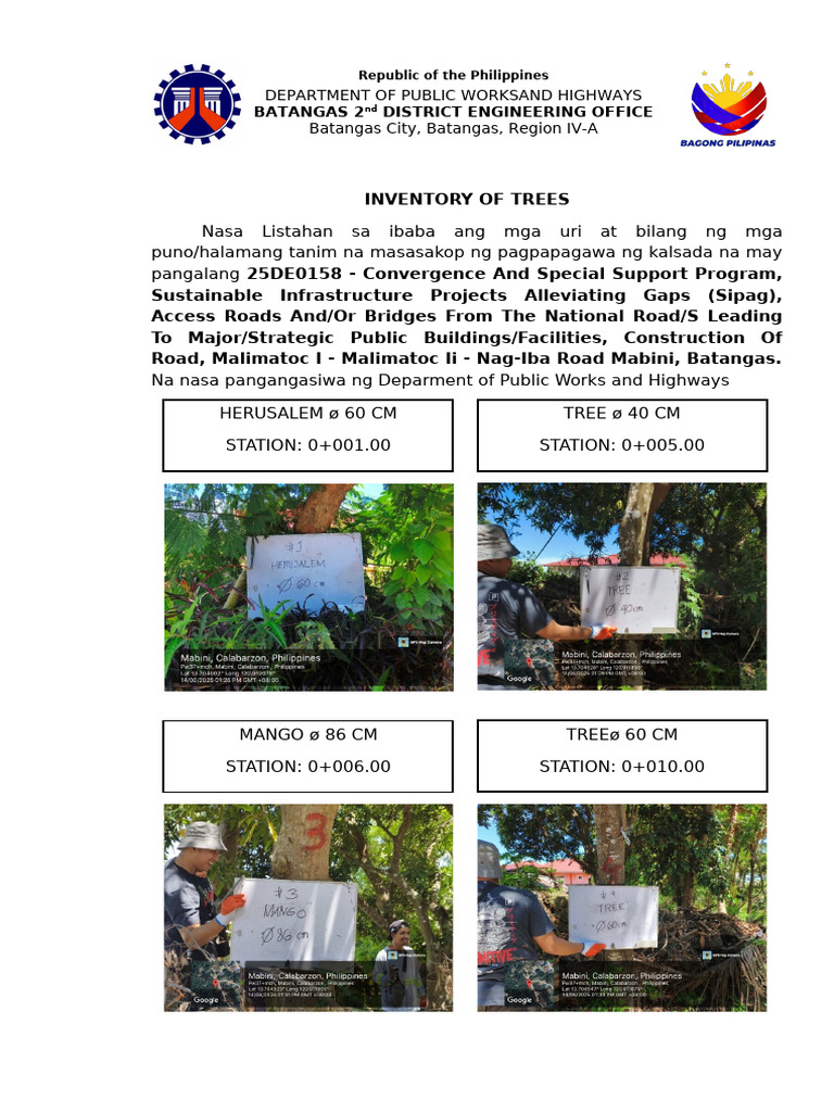 Batangas Tree Inventory for Road Project | PDF