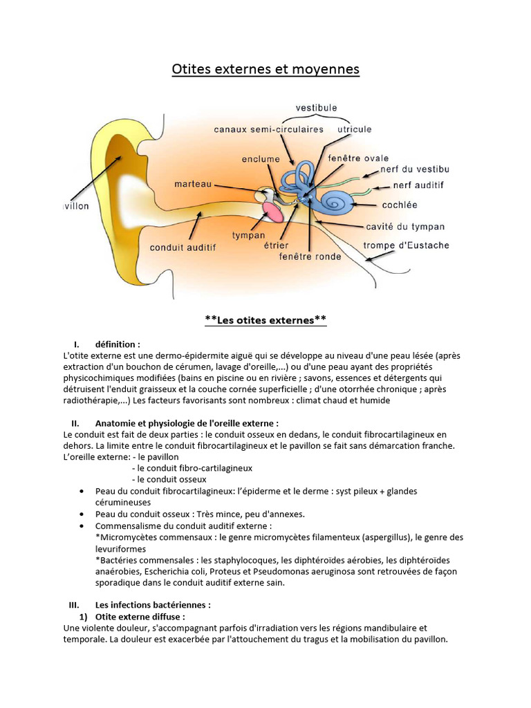 Comprendre les otites externes et moyennes | PDF | Maladies et troubles ...