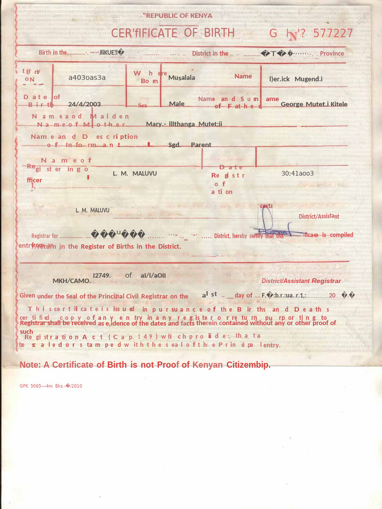 Kenya Birth Certificate Registration Guide | PDF