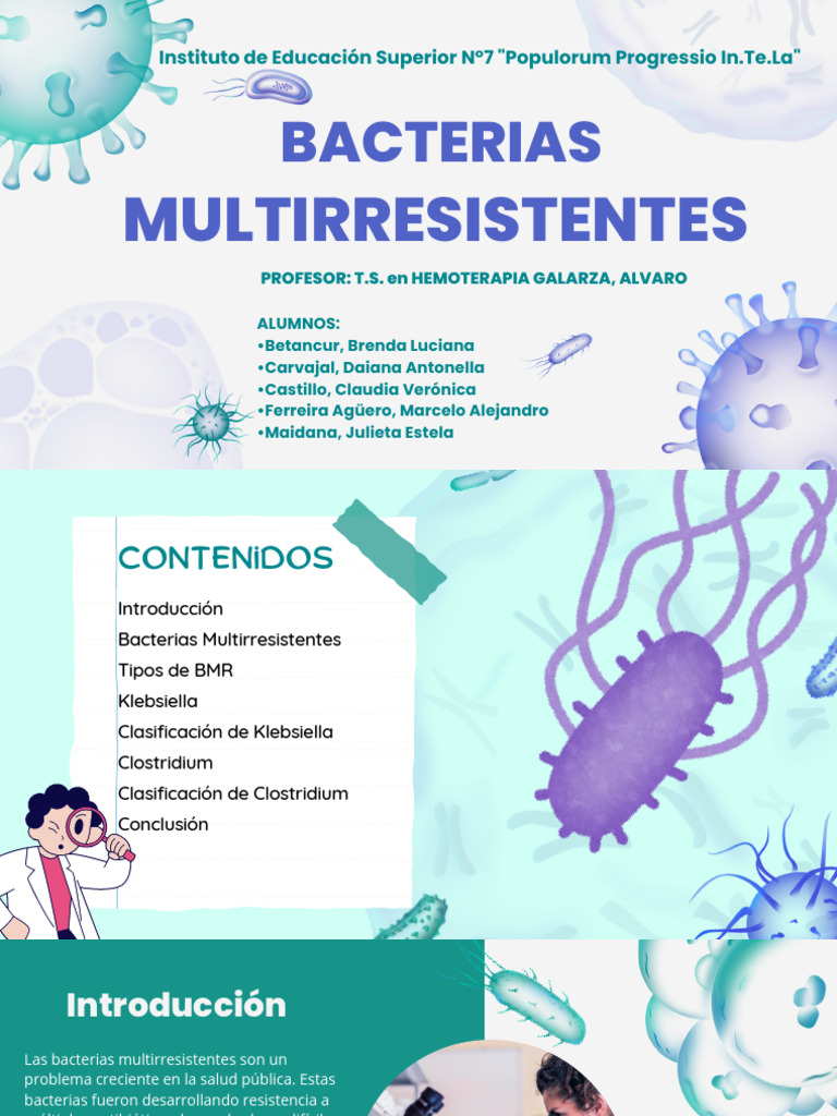 Bacterias Multirresistentes: Klebsiella y Clostridium | PDF ...