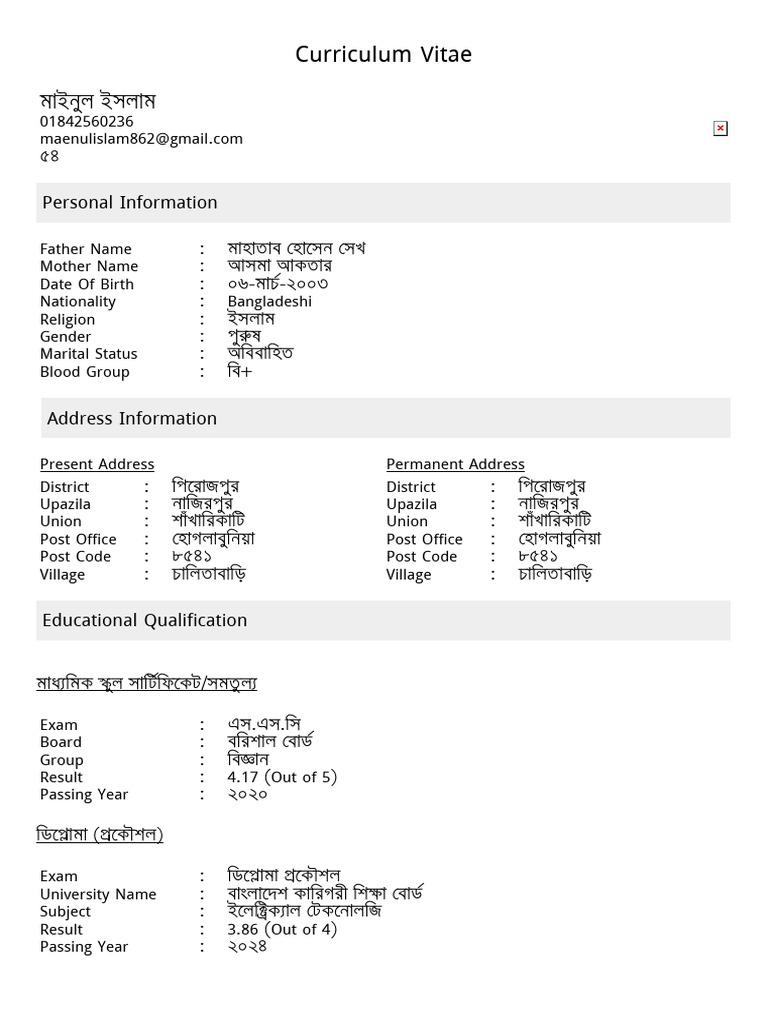 My CV | PDF