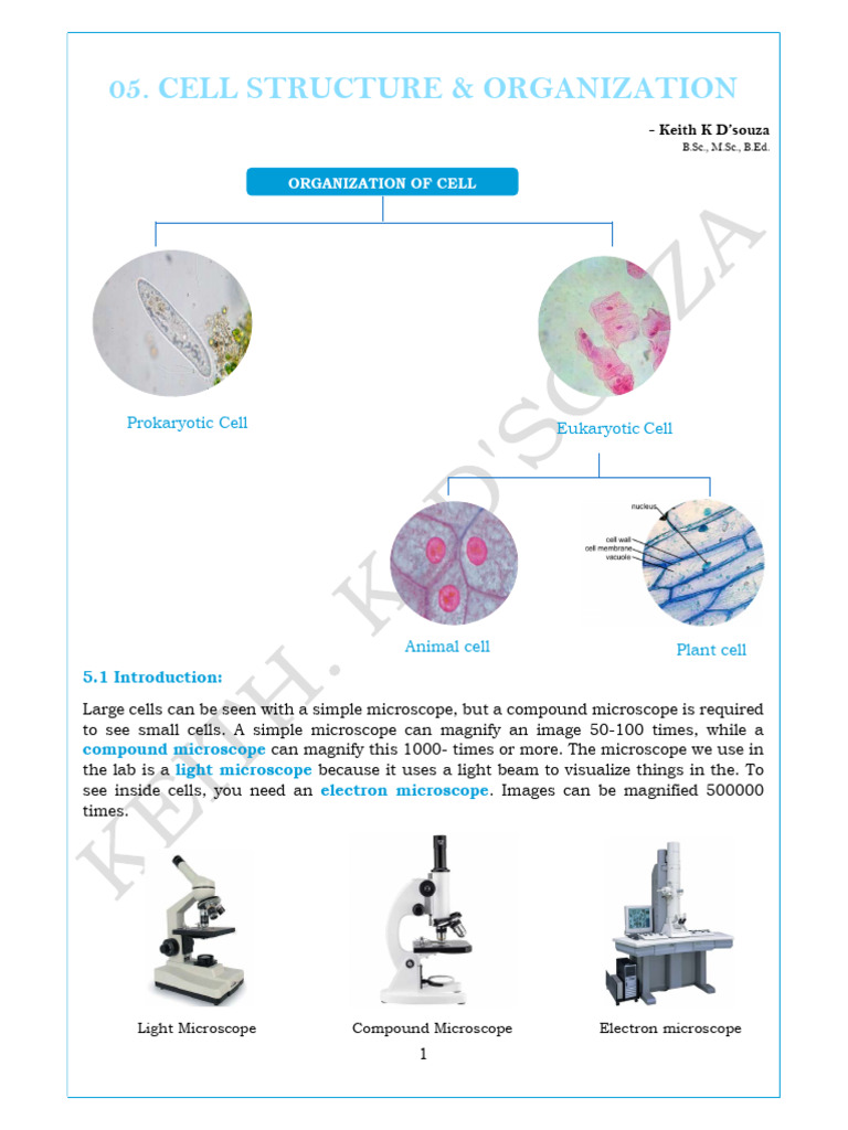 Overview of Cell Structure and Types | PDF | Endoplasmic Reticulum ...