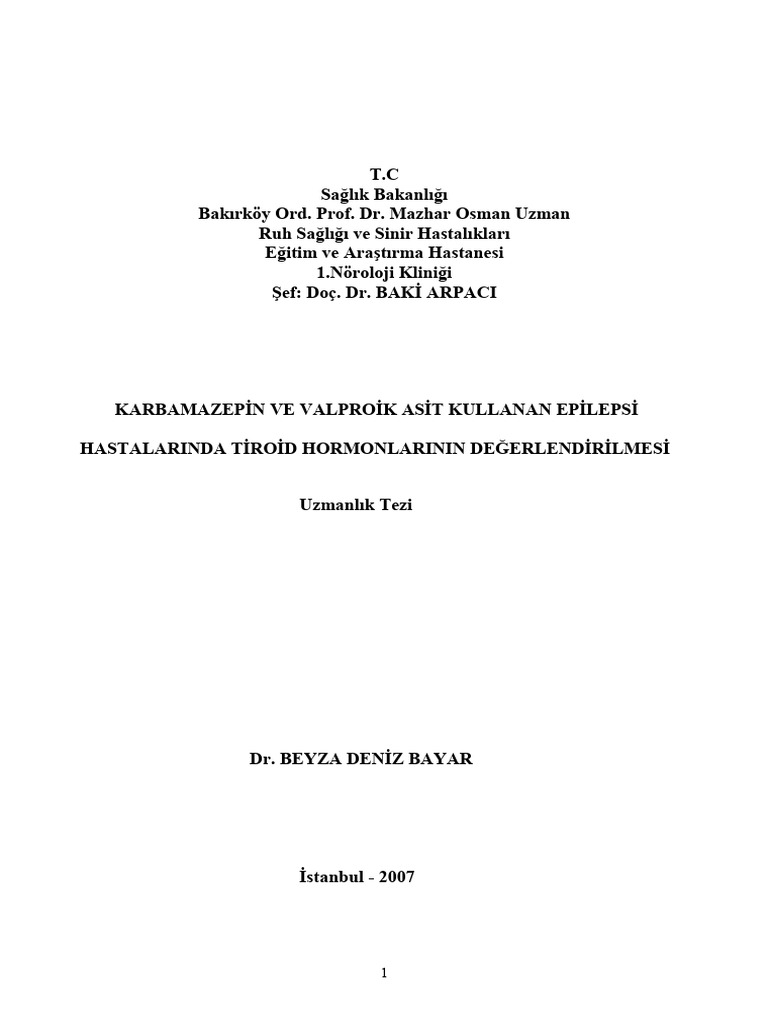 Epi Lepsi | PDF