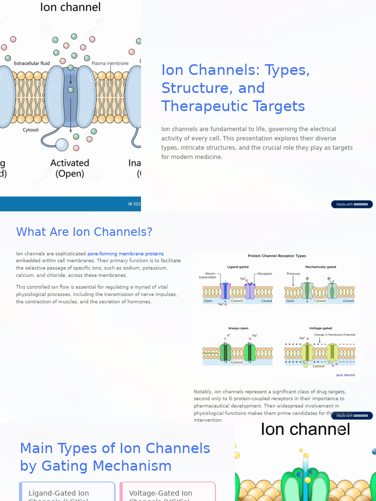 Ion Channels: Types and Drug Targets | PDF | Ion Channel | Action Potential