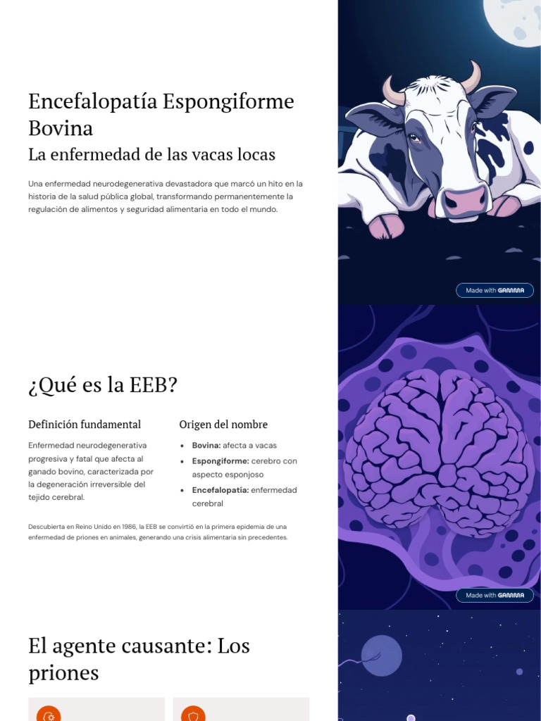Encefalopatía Espongiforme Bovina: EEB | PDF | Ciencias de la Salud ...